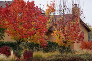 old house in autumn near Sacramento, CA, USA