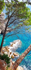 Scenic view from above of a rocky sea coast with turquoise waves crashing against the shore, framed by pine trees and branches, creating a serene Mediterranean atmosphere.