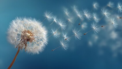 Delicate dandelion seeds drift on a gentle breeze against a vibrant blue sky, symbolizing new beginnings and the magic of nature's journey