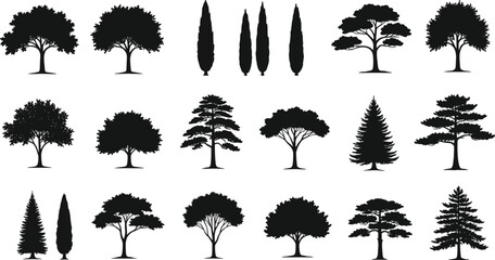 Set of various tree silhouettes. Black silhouettes of deciduous, coniferous, and cypress trees, isolated on a white background