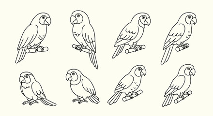 A collection of eight distinct parrot illustrations on a plain background.