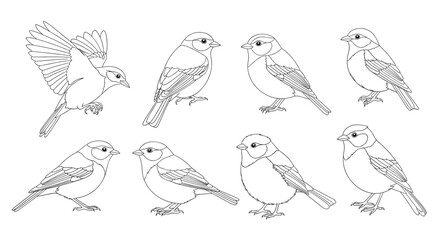 A collection of eight charming dotted line art drawings of small birds perched and in flight.