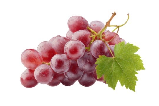 Fresh red grape cluster with leaf isolated on black background, cut out