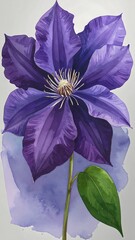 Vibrant purple flower illustration