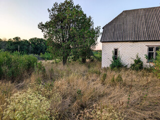 Wide angle of a large field of dry, light-brown grass and small white wildflowers, with the corner of a white brick building and a solitary green tree under a clear, pale twilight sky.