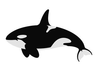 Flat Illustration of a Orca Whale