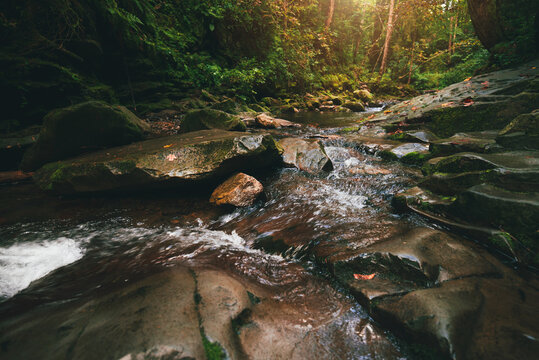 Mountain stream flowing over mossy stones and dark rocks in a dense, magical green forest with tall trees and bright sunbeams breaking through the canopy. Carpathians.