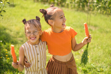 Funny laughing girls are hugging each other and eating carrots freshly picked in the vegetable garden