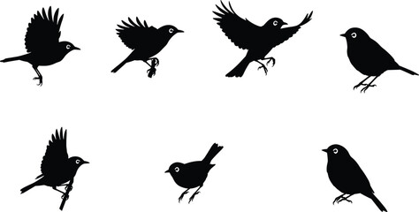 Bird silhouette collection, flying bird, perched bird, black vector birds, nature pose, editable wildlife icon, isolated animal graphic, motion illustration