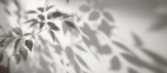 Gray shadow overlay of leaves on a white wall. Transparent blurry shadow of sunlight. A gray silhouette of leaves natural effect brings a calming and artistic touch to any space.