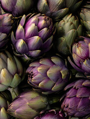 Fototapeta premium Fresh artichokes in shades of purple and green stacked closely on a table ready for cooking or market sale in a vibrant kitchen