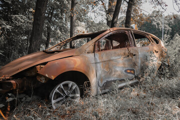 Close-up view of a burnt-out abandoned car in the forest, heavily rusted and damaged, with missing parts and overgrown vegetation around it. Symbol of decay and neglect.
