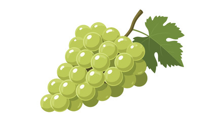 A vibrant illustration showcasing a cluster of green grapes with a single leaf, isolated on white.