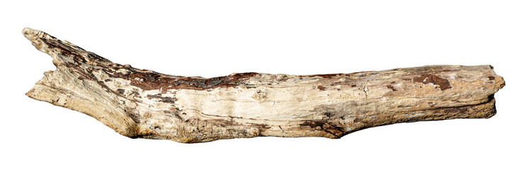 Weathered driftwood log cutout on transparent background