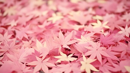 Pink Maple Leaves Autumn Background Soft Pastel Colors Nature Photography