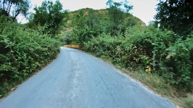Beautiful green nature, POV car trip, crossing a bridge