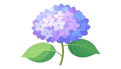 Vibrant purple-blue hydrangea illustration