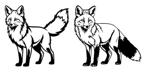 Vector art of two elegant fox illustrations, showcasing detailed line work in a vector format