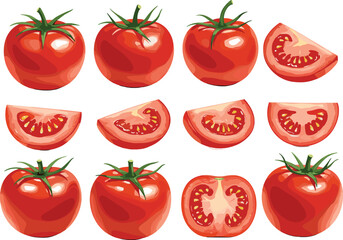 Fresh red tomatoes and tomato slices with green stems, ripe and organic vegetables isolated on white background, vector illustration graphic resources