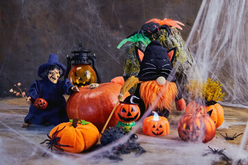 halloween, a cheerful witch with flowers and a gnome in a black cat costume stand near a big pumpkin at a noisy cobweb party with pumpkins and spiders, All Saints Day, horizontal, creative focus