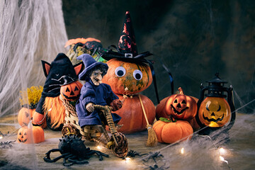 a cheerful witch arrived on a bicycle to a Halloween party with a gnome in a black cat costume, pumpkins and spiders on the eve of All Saints Day, creative focus