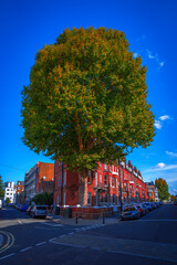 Fototapety na wymiar - Fototapeta24.pl