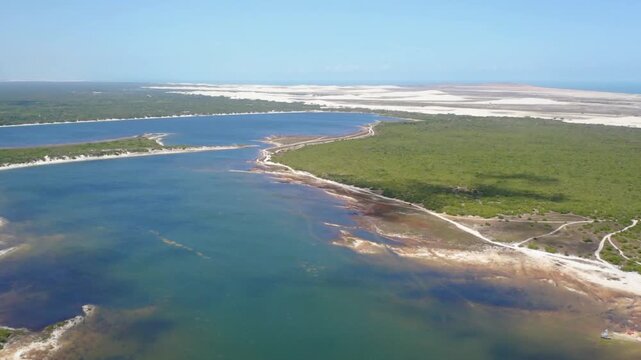 Aerial view of a beautiful coastline with lush green vegetation and blue water