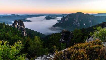 Vista shows valley filled with fog under pink sky, with rock formations and lush forest