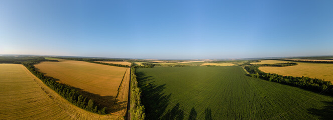 Aerial sunny agriculture fields with blue sky panorama, golden and green summer crops