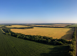 Aerial farmland view in Ukraine with fertile agriculture fields, golden wheat and green summer crops