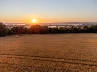 Aerial golden wheat field in summer countryside with sun rising on horizon