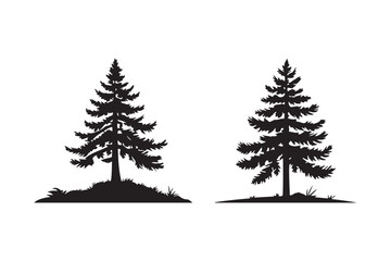 Two silhouetted pine trees standing tall against a white background