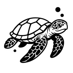 Jellyfish Vector Graphic - Marine Animal Illustration and Ocean Wildlife