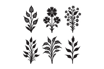 Naklejka premium Collection of six black and white floral botanical illustration elements