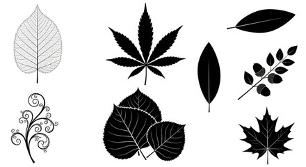 Collection of various leaf shapes and designs, in black and white.