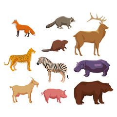A diverse collection of stylized zoo, forest, and farm animal illustrations on a white background