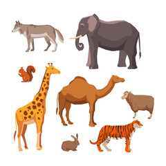 Wildlife Wonders An Illustrated Collection of Exotic Animals from Around the World