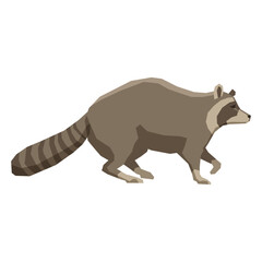 Walking raccoon in a low poly style vector illustration isolated on a white background