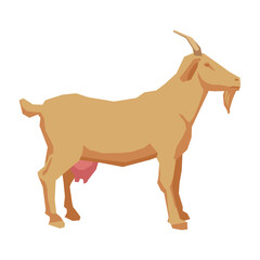 Illustration of a Light Brown Goat Standing on White Background Animal