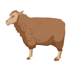 Stylized illustration of a brown woolly sheep standing, a common farm animal