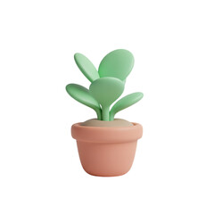 Cute green succulent plant in a terracotta pot isolated on transparent background