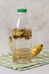 Banana peels infusing in water making natural plant fertilizer