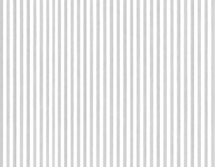 Obraz premium Delicate Gray Striped Pattern Design for Digital Print