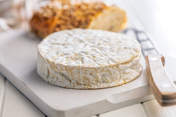 Camembert cheese on cutting board on white table. French cheese with mold on the surface.