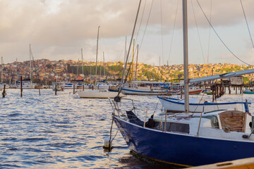 Fototapeta premium Seaport with yachts and white boats in a city at sunset, cloudy sky. Brazil, Salvador Bahia