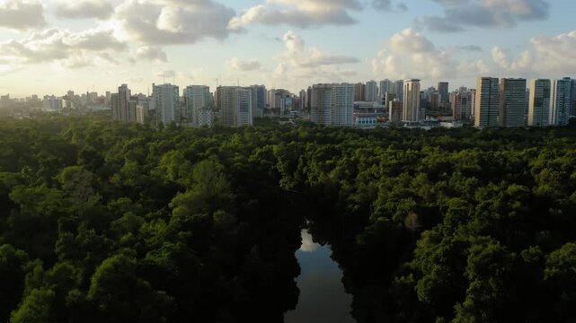 Aerial view of recife cityscape with river running through green forest