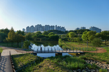 강, 경관, 호수, 네이처, 여름, 공원, 나무, 여행, 경치, 도시