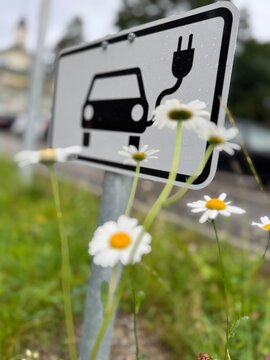 Sign for Electric Vehicle Charging Station designed with beautiful Wildflowers and greenery