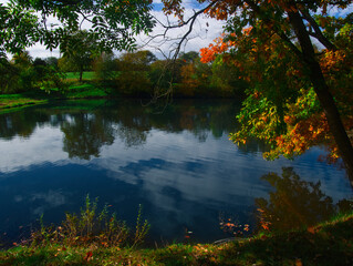 Autumn landscape with colorful foliage and trees, water surface during autumn day with, branches, tree trunks