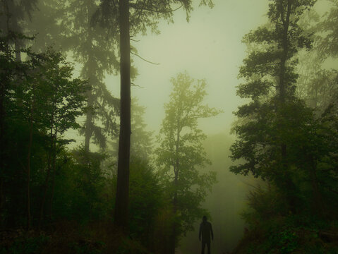 Spooky creepy green foggy forest during autumn day with a man in dark clothes, trees, branches, tree trunks, green leaves